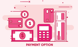 payment options for consumer finance
