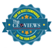 ceo views award paymentvision
